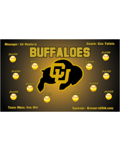 Colorado Buffaloes College Vinyl Team Banner E-Z Order