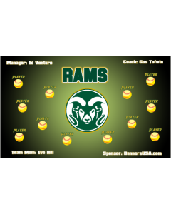 Colorado State Rams College Vinyl Team Banner E-Z Order