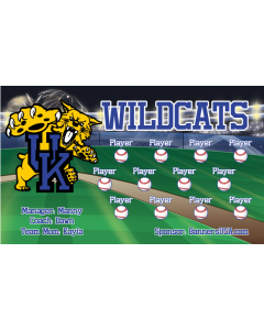 Kentucky Wildcats College 13oz Vinyl Team Banner E-Z Order