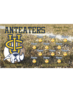 UCI Anteaters College 13oz Vinyl Team Banner E-Z Order