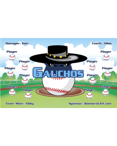 UCSB Gauchos College 13oz Vinyl Team Banner E-Z Order