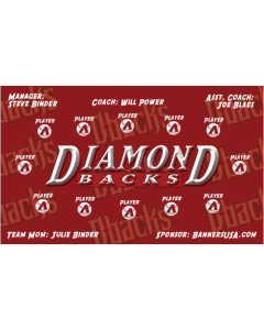 Diamond Backs Major League 13oz Vinyl Team Banner DIY Live Designer