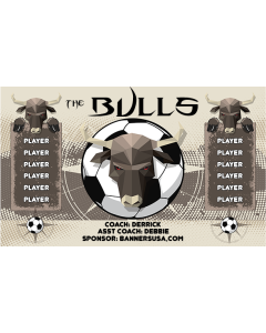 Bulls Soccer 9oz Fabric Team Banner DIY Live Designer