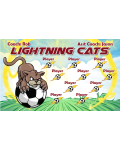 Lightning Cats Soccer 9oz Fabric Team Banner DIY Live Designer