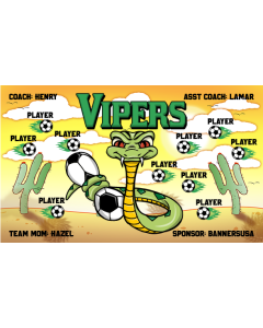 Vipers Soccer 9oz Fabric Team Banner DIY Live Designer