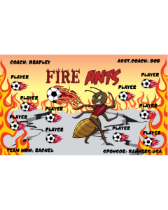 Fire Ants Soccer Fabric Team Banner E-Z Order