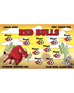 Red Bulls Soccer 9oz Fabric Team Banner E-Z Order