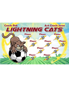 Lightning Cats Soccer 9oz Fabric Team Banner E-Z Order
