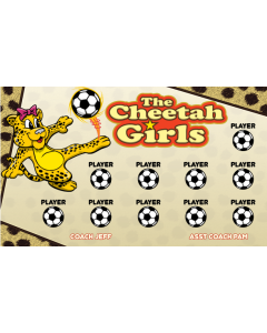 Cheetah Girls Soccer 9oz Fabric Team Banner E-Z Order