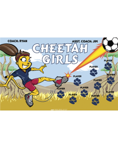 Cheetah Girls Soccer 9oz Fabric Team Banner E-Z Order