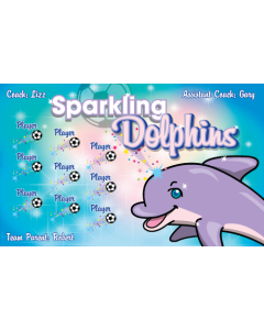 Sparkling Dolphins Soccer 9oz Fabric Team Banner E-Z Order