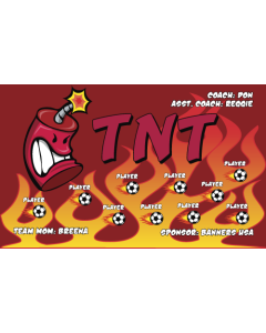 TNT Soccer 9oz Fabric Team Banner E-Z Order