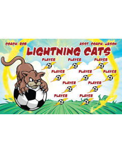 Lightning Cats Soccer 9oz Fabric Team Banner DIY Live Designer
