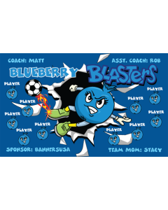 Blueberry Blasters Soccer 13oz Vinyl Team Banner DIY Live Designer
