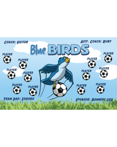 Blue Birds Soccer 13oz Vinyl Team Banner DIY Live Designer