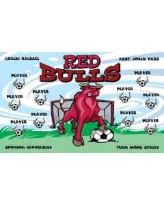 Red Bulls Soccer 9oz Fabric Team Banner DIY Live Designer