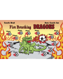 Fire Breathing Dragons Soccer 9oz Fabric Team Banner DIY Live Designer