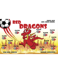 Red Dragons Soccer 9oz Fabric Team Banner DIY Live Designer