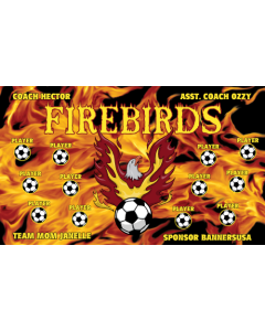 Firebirds Soccer 13oz Vinyl Team Banner DIY Live Designer