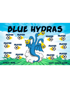 Blue Hydras Soccer 9oz Fabric Team Banner DIY Live Designer