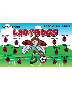 Ladybugs Soccer 13oz Vinyl Team Banner DIY Live Designer