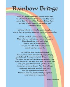 Paws Chateau Rainbow Bridge